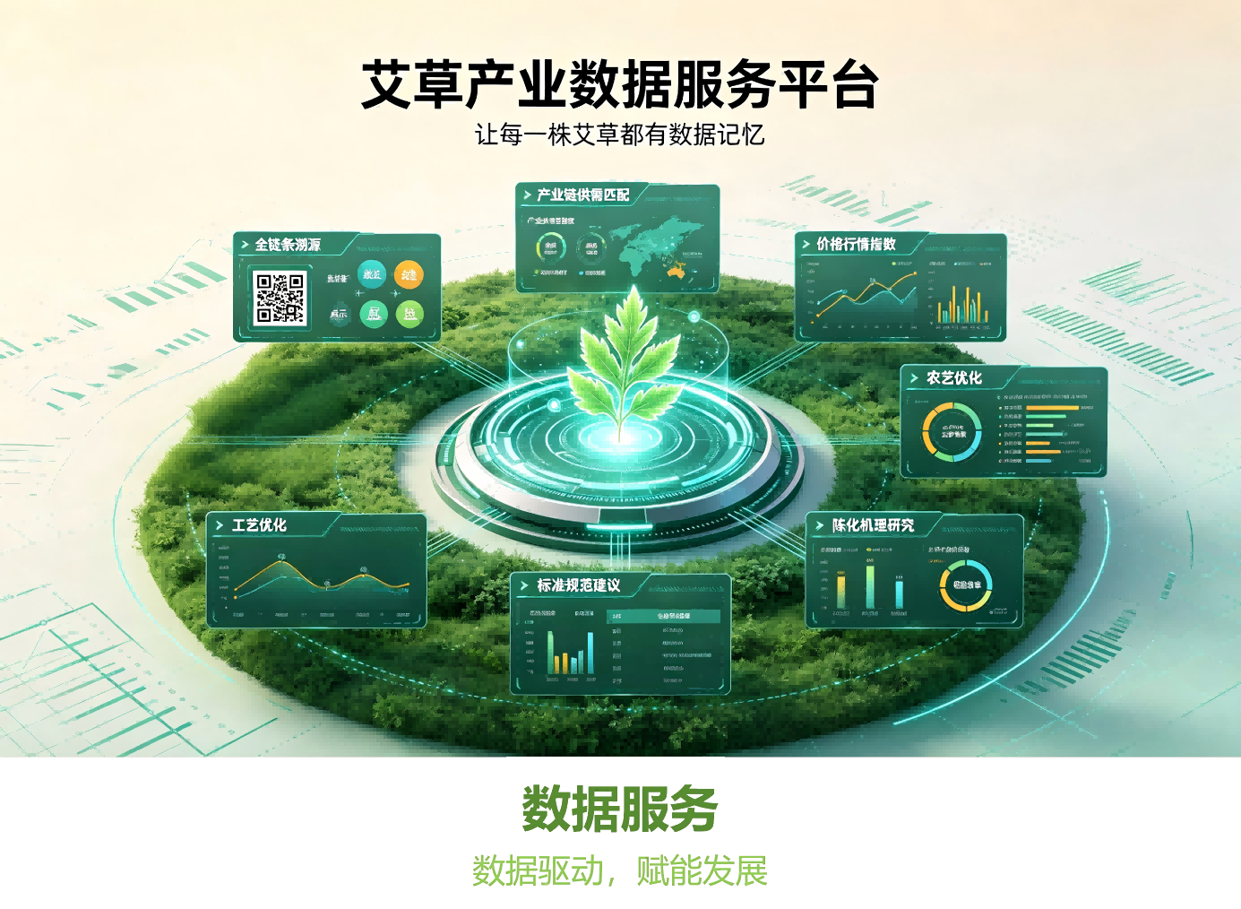 数据服务